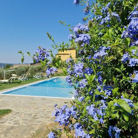 Гостьовий будинок Fattoria Di Maiano Ф'єзоле Екстер'єр фото