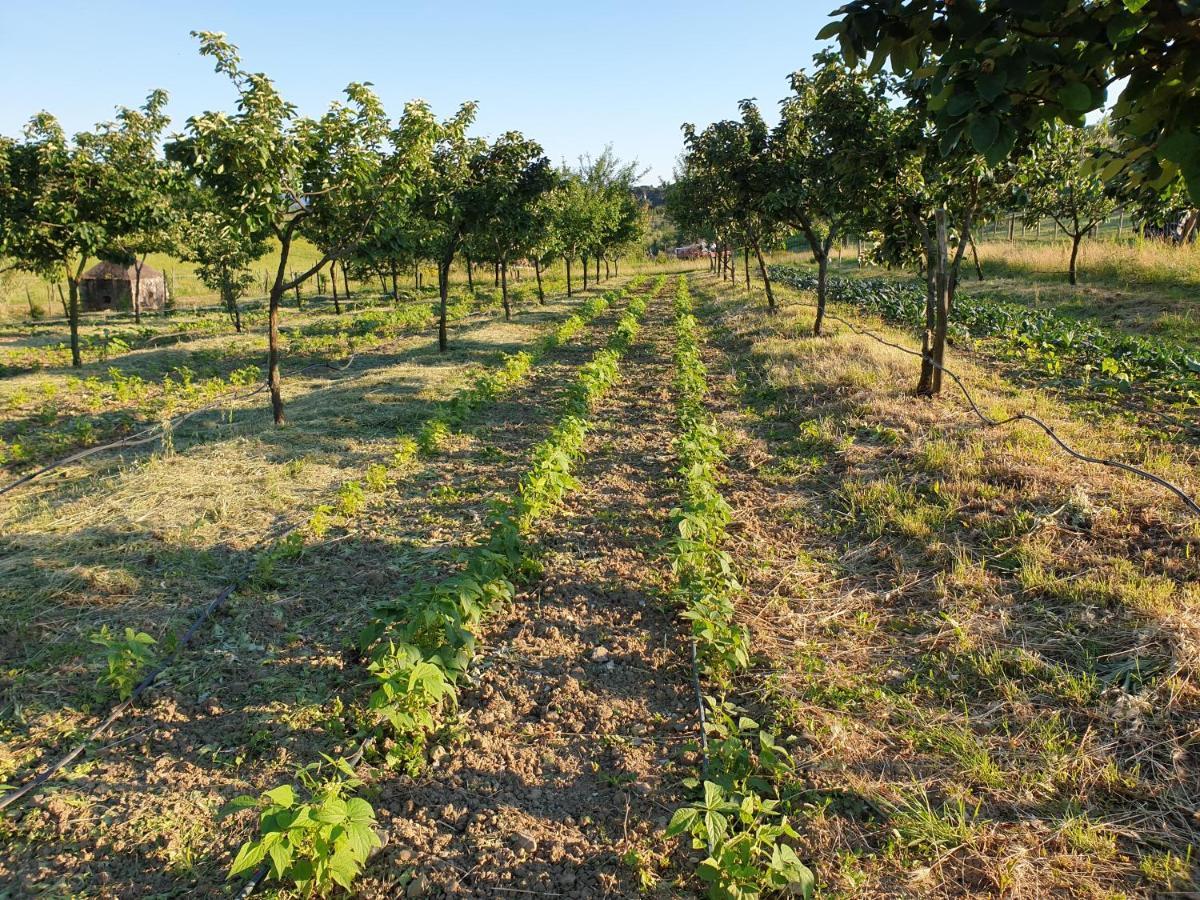 Гостьовий будинок Fattoria Di Maiano Ф'єзоле Екстер'єр фото